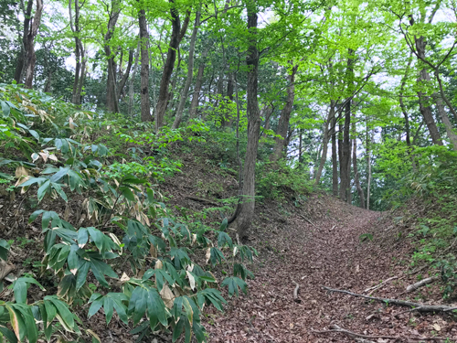 二の丸下の空堀