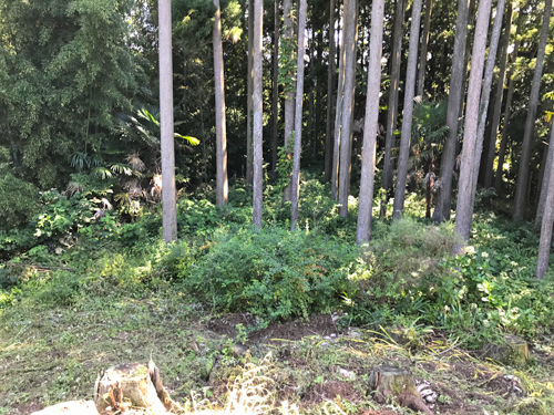 佐味今田谷内古墳群の3号墳