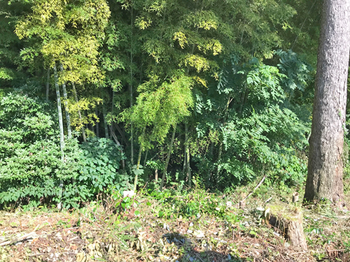 佐味今田谷内古墳群の4号墳