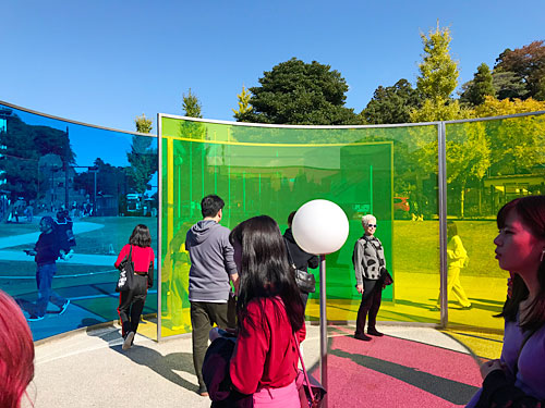 内部からの眺め