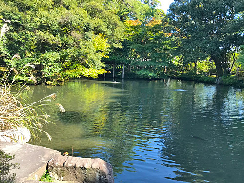 松風閣庭園 正面から
