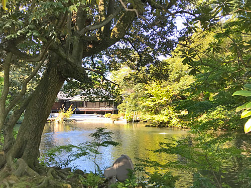 松風閣庭園 裏面から