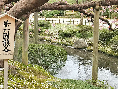 枝の下のつっかえ棒