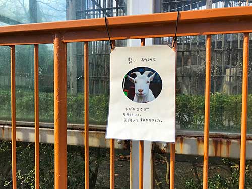 悲しいお知らせ