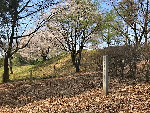 末寺山古墳群の景色
