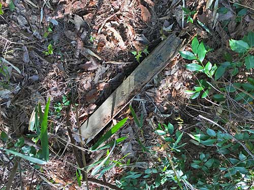 5号墳の倒れた標柱