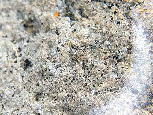 紫蘇輝石・普通輝石安山岩の表面