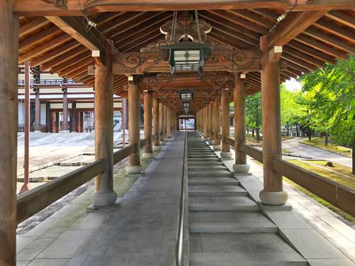 台湾桧が使われた回廊