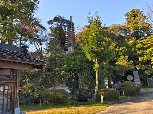 妙観院の庭と多宝塔