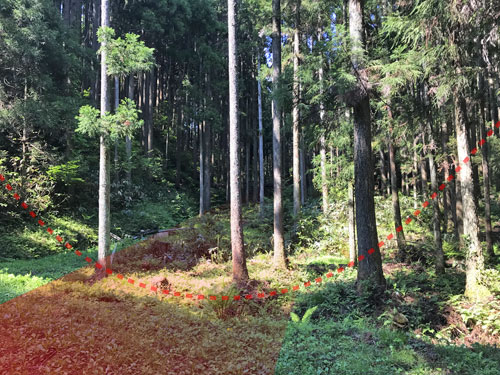 熊木城跡の大堀切