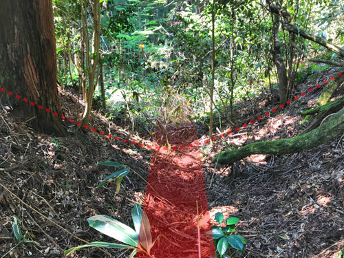 熊木城跡の空堀