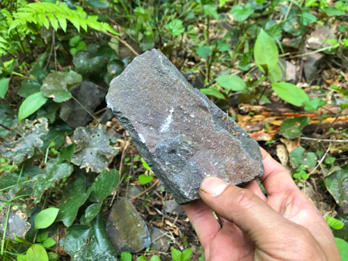 道に落ちてる結晶片岩