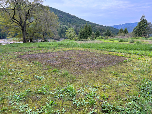 南陽寺跡の建物跡